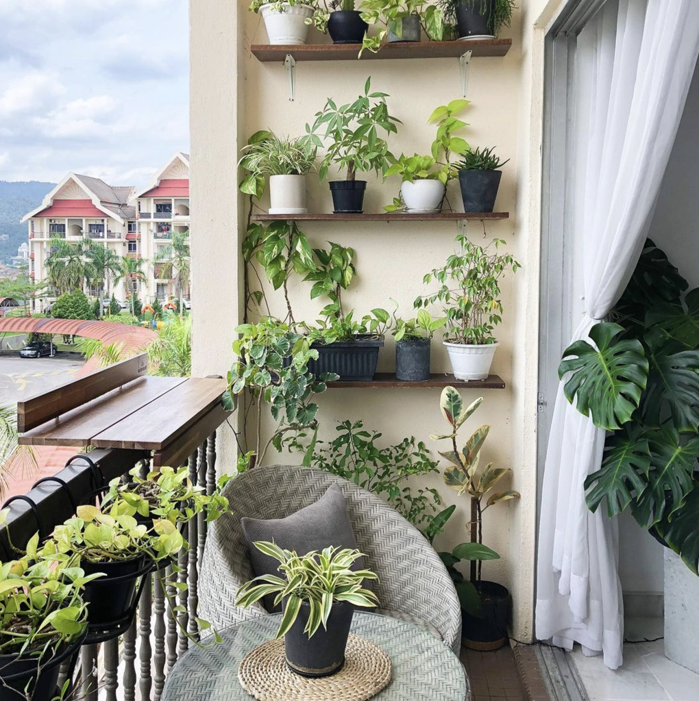 Cây đặt ở ban công cũng cần được cố định an toàn, không đặt sát mép lan can và không cản miệng thoát nước